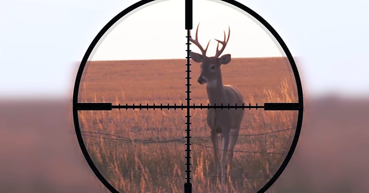 What is a good deer hunting scope?