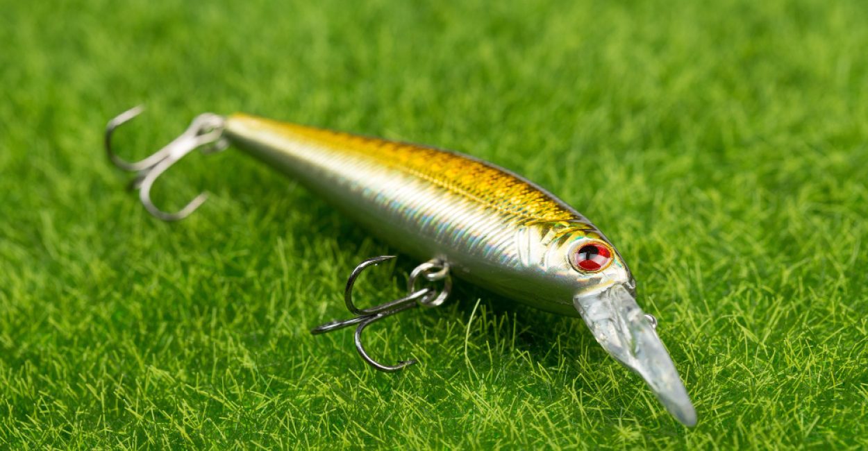 63c92905198c4011ce556e2a_blog-7