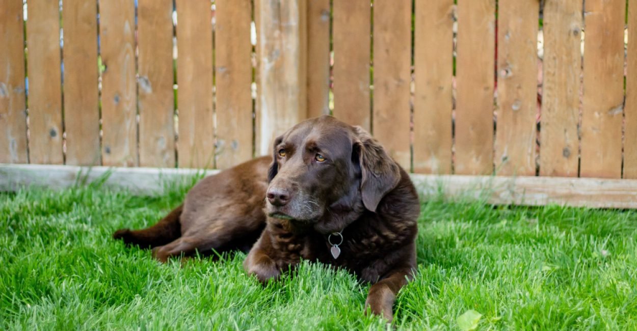 63c92ee442b133f7ec632900_blog-15