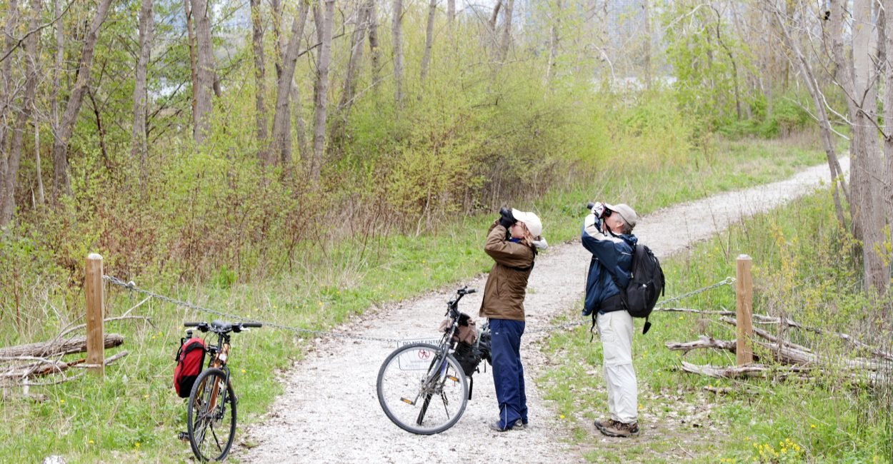 64514c763af8b9d1c4be2425_Depositphotos_25254695_L